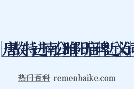 唐故特进南公睢阳庙碑近义词是什么意思的图片